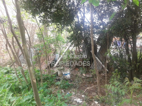 Terreno de 350 Mt2 , en Venta , Isidro Casanova.